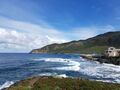corse 011